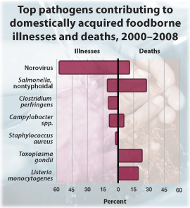 Chart: Top pathogens contributing to domestically acquired foodborne illnesses and deaths, 2000 to 2008. Norovirus: Illnesses 58%; Deaths 11%. Salmonella, nontyphoidal: Illnesses: 11%; Deaths 28%. Clostridium perfringens: Illnesses: 10%. Campylobacter spp.: Illnesses: 9%; Deaths 6%. Staphylococcus aureus: Illnesses: 3%. Toxoplasma gondii: Deaths: 24%. Listeria monocytogenes: Deaths: 19%. .