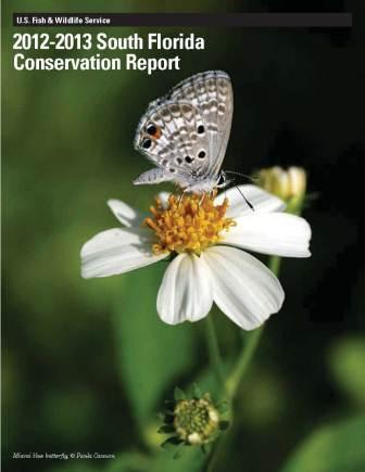 Conservation Report Image