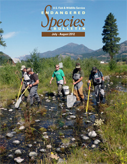 U.S. Fish and Wildlife Service biologists and Yakama Nation personnel conduct defishing activities prior to the Upper Hancock Spring Channel restoration project in north-central Washington.
Photo Credit: Rich Lowell