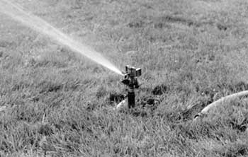 Image of a sprinkler spraying water in the grass.