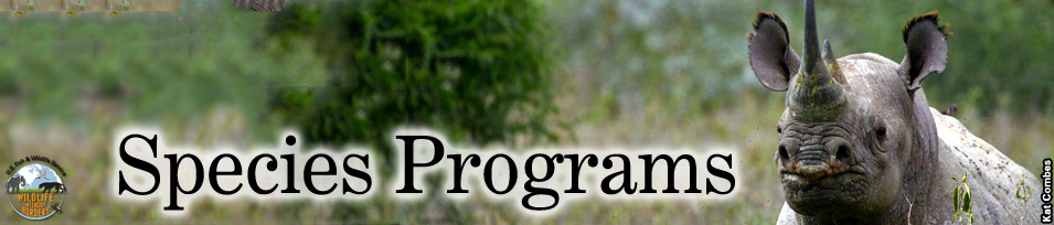 species programs banner