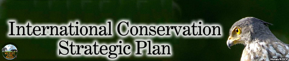 strategic plan banner image
