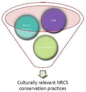 Indigenous Stewardship Methods