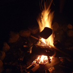 marshmallow roasting in campfire