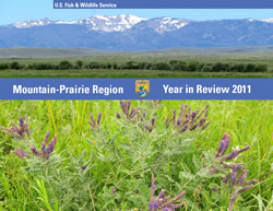 Mountain-Prairie Region Year in Review