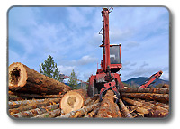 Oregon Forestry - Forest Management Tools