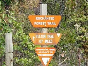 Enchanted Forest Trail