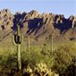 AZ Ironwood Forest National Monument