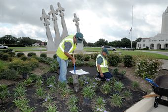 Flower Planting