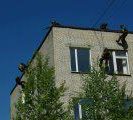 Photo: A demonstration of rapelling down a building to storm an appartment in a similation hostage exercise.