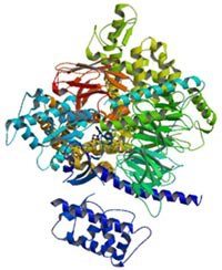 Photo: NIGMS grantee shares 2012 Nobel Prize in chemistry for G-protein-coupled receptor studies. Read more at http://www.nigms.nih.gov/News/Results/20121010.htm.