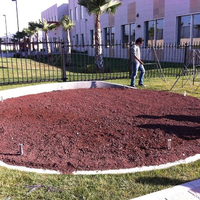 Photo: The challenge: install Pedro Reyes' monumental sculpture, the Ear just outside the Tijuana Consulate where visitors go for visas.