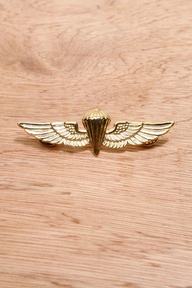 Vintage Jewellery Winged Military Pin £12