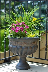 planter 