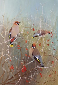 Waxwings by Martin Woodcock £500, part of WLT gallery's new Festival of Wildlife exhibition