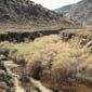 Rangelands in Wyoming.