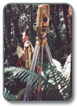 Surveying near Coquille, Oregon