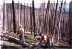 Steve Kaiser and crew member, burned area near Crater Lake