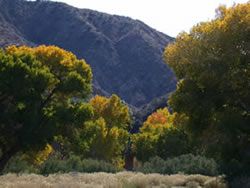 View of hills surrounding the Big Morongo Canyon Preserve, California