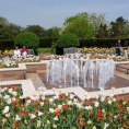 Photo: Great Places in America: Public Spaces - Chicago Botanic Garden, Glencoe, Illinois • Named for its circular boundary, the Circle Garden features a central dancing fountain with two intimate secret gardens off to each side. A central promenade invites strolling and close-up views of the cutting-edge plant combinations — here, a spring mix of tulips and narcissus. Courtesy Chicago Botanic Garden.
