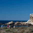 Photo: A group views California sea lions and marine birds on the adjoining offshore rocks. The rocks are part of the CA Coastal National Monument.