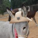 Photo: Close up of Sheriff Buckshot