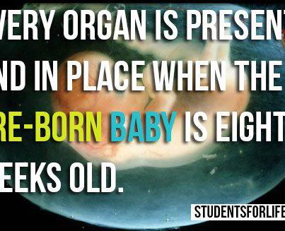 Photo: 'Like' and 'Share' this awesome fact about the pre-born with your friends!