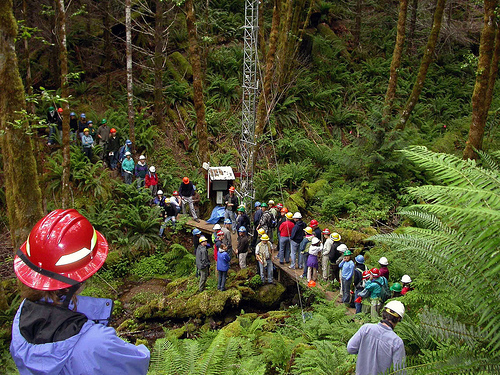 Industry, academic and representative of non-profits tour the Willamette National Forest east of Eugene, Ore. The U.S. Forest Service, in cooperation with the North Santiam Watershed Council, is working with companies in the region to establish a special forest products industry to thin the stands and harvest products such as moss, boughs, posts and poles, logs and firewood. (OSU Photo)