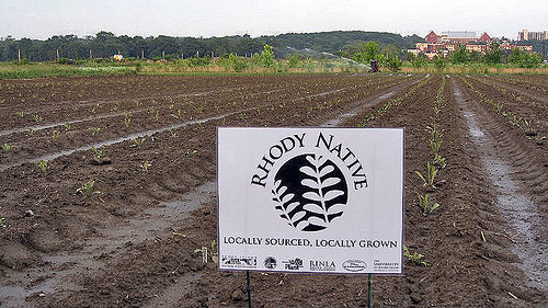 An effort to grow and market locally sourced, locally grown and genetically diverse native plants (Rhody Native) in cooperation with nursery industry has been made possible with Forest Service Recovery Act funding. Photo Credit: Hope Leeson.