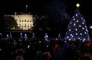 Dates Announced for Nat'l Christmas Tree Lottery