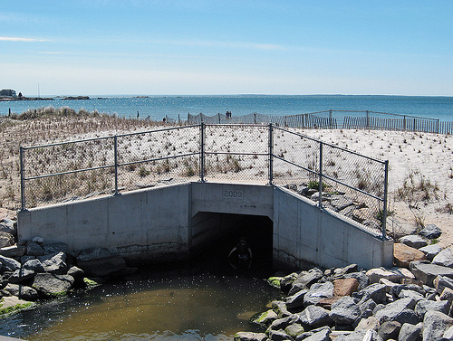 The new box culvert and open channel to Long Island Sound, which restored fish passage and tidal flows to the salt marsh. Volunteers installed the dune grass plantings.