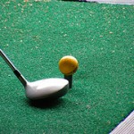 Golf Club with Ball