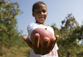 Apple in Hand, African-American Boy