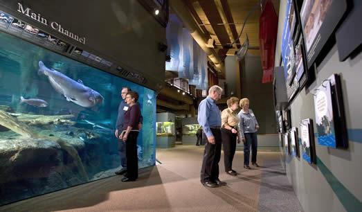 exhibits in river museum