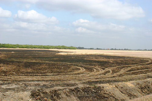 A burn scar from a recent rangeland wildfire is evident in Kleberg County Texas – more than 3 million acres of rangeland have been lost to wildfires in Texas this year.