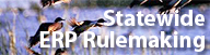 ERP Rulemaking