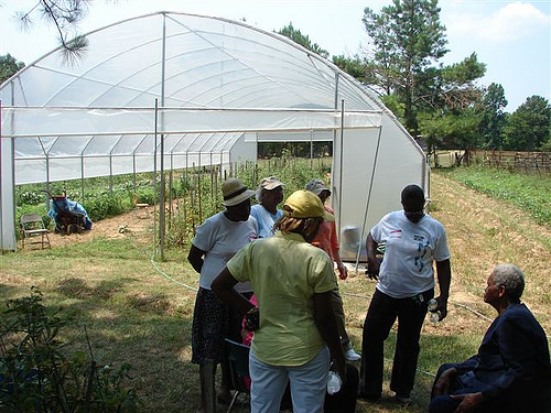 McGee shows members of the Women in Agriculture organization her seasonal tunnel house crops as well as other vegetables and herbs.  The women were so impressed they said they wanted to grow everything she had.