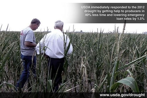 U.S. Department of Agriculture (USDA) Under Secretary for Farm and Foreign Agricultural Service (FFAS) Michael Scuse (right) tour drought stricken corn fields with Doug Goyings, on the Goyings Farm in Paulding County, Ohio on Tuesday, July 17, 2012. More information at www.usda.gov/drought - USDA photo by Christina Reed.