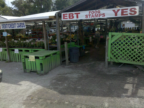 Farmers Market that accepts SNAP benefits