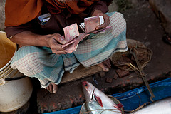 A fish seller counts his money at a small fish market in Khulna, Bangladesh. Photo by Mike Lusmore, 2012.