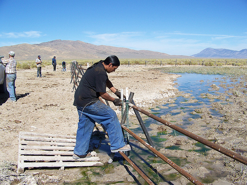 An important meadow is fenced to protect critical habitat for sage-grouse.