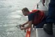 Coast Guard members help release sea turtles