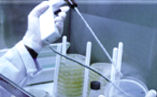laboratory assistant performing experiment