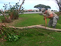 Typhoon Jelawat Cleanup