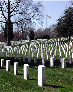 Gravestones under flag