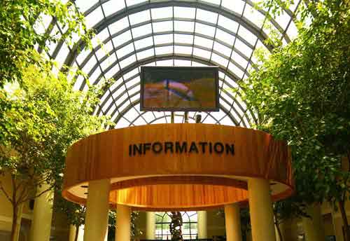 Visitor Information