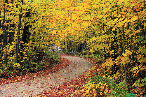 The Hapgood Pond Recreation Area on the Green Mountain National Forest displays its fall foliage splendor.