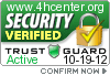 Security Verified Seal