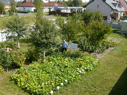 Zenon Rzymski, the  4H “Horizon” leader from Wrzesnia, Poland, stands in the People’s Garden his 4H club grows and tends as part of the School Garden Project, which was initiated by the USDA’s Foreign Agricultural Service (FAS) office in Warsaw, Poland. In all, 30 4-H club including 520 children throughout Poland participated in the project. (Photo By Witold Rzymski.) *He gave the photo to FAS Warsaw and gave permission for it to be used and distributed by USDA. *Zenon Rzymski, the  4H “Horizon” leader from Wrzesnia, Poland, stands in the People’s Garden his 4H club grows and tends as part of the School Garden Project, which was initiated by the USDA’s Foreign Agricultural Service (FAS) office in Warsaw, Poland. In all, 30 4-H club including 520 children throughout Poland participated in the project. (Photo By Witold Rzymski.) 