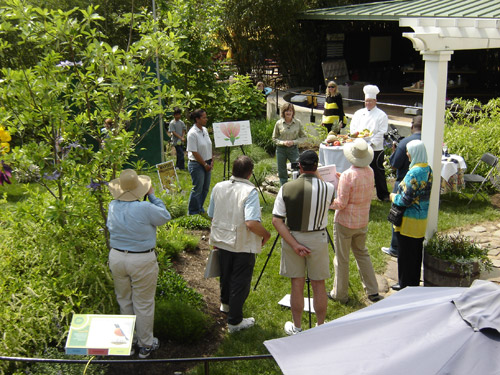 Production members and the on-air moderators and guests prepare for the kick-off of the five-segment live webcast of Pollinator LIVE from the Smithsonian's national Zoo May 12.